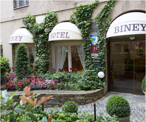 Hotel Biney